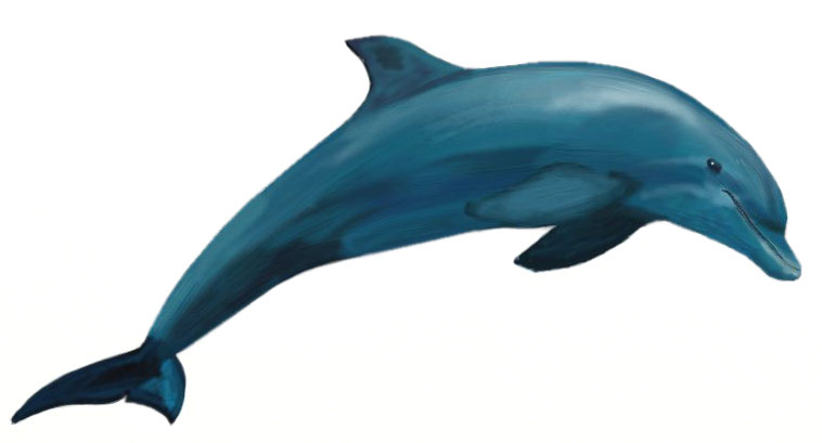 Picture9.png